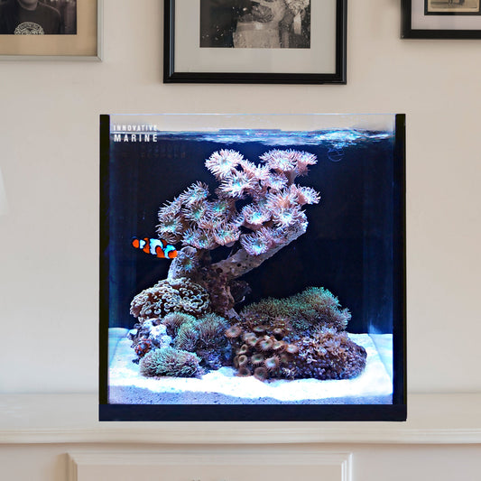 Fusion | 15 AIO Cube Aquarium - Desktop Starter Kit