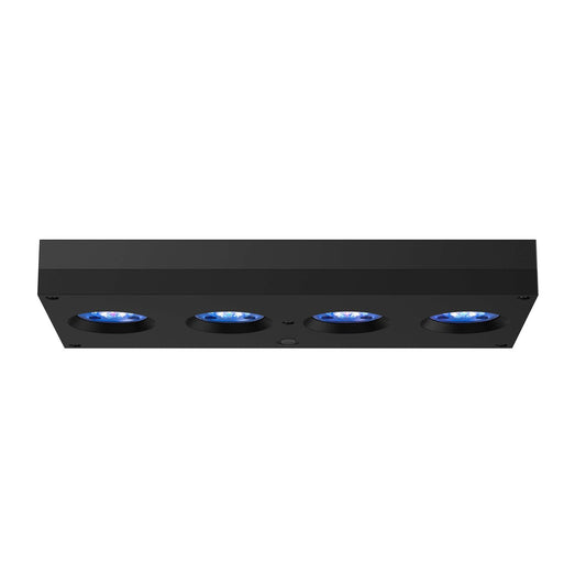 AI Hydra 64 Black